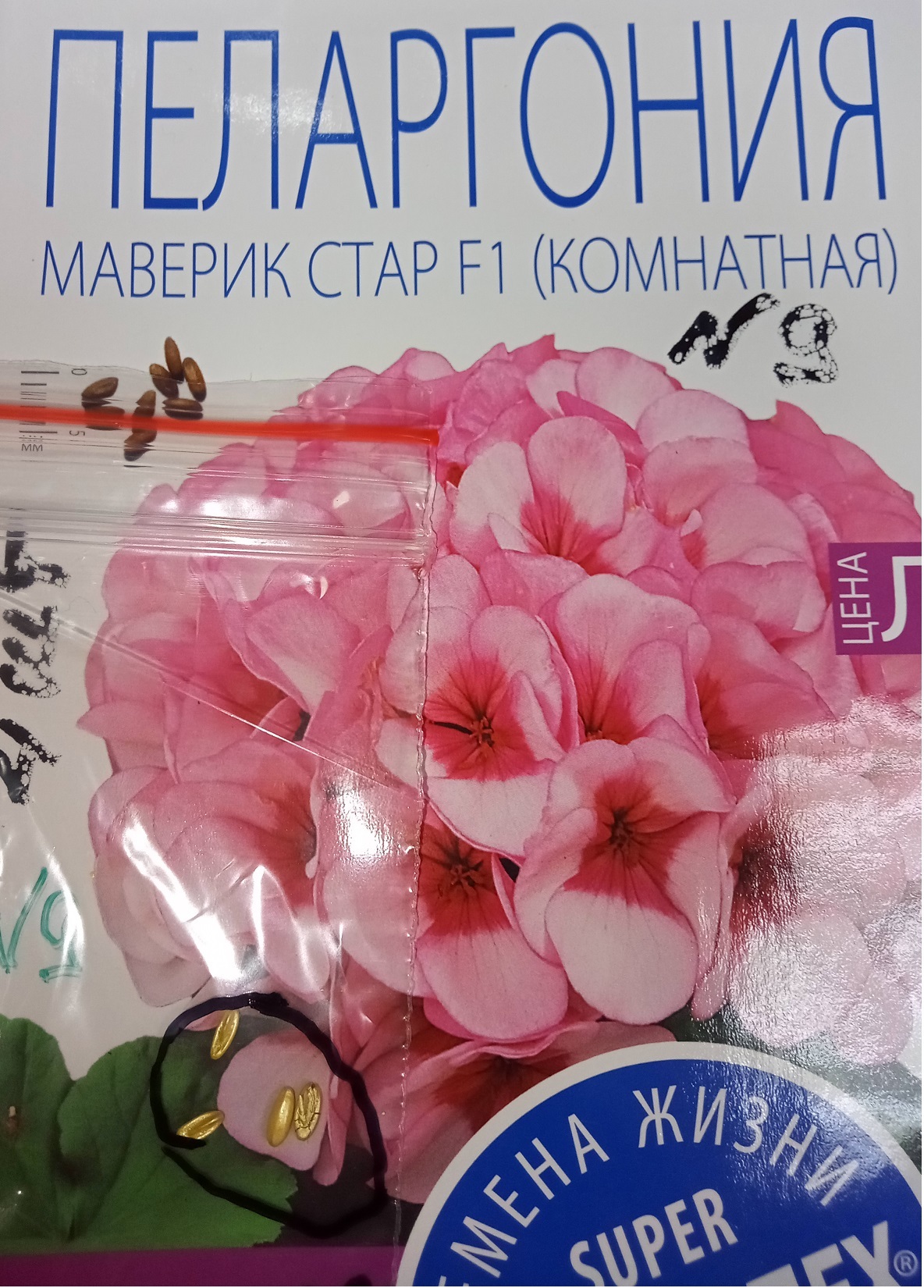 Фотография покупателя товара Семена цветов Пеларгония "Маверик Стар", F1, 4 шт - Фото 2
