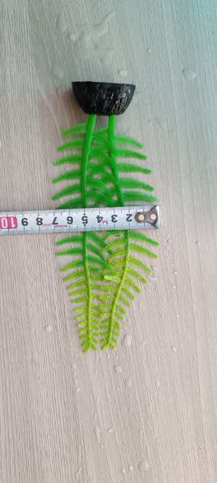 Фотография покупателя товара Растение силиконовое аквариумное, светящееся в темноте, 8 х 23 см, зелёное - Фото 2
