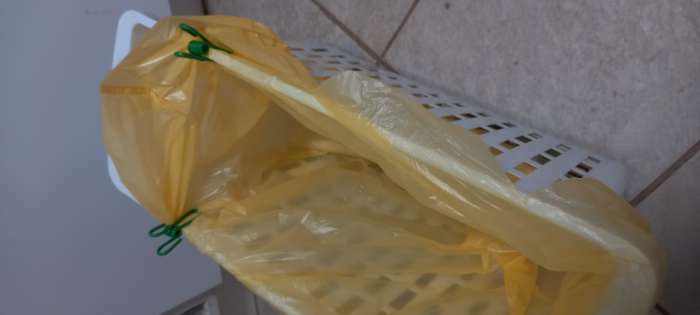 Фотография покупателя товара Прищепки бельевые Доляна, 5,5 см, 10 шт, цвет МИКС - Фото 5