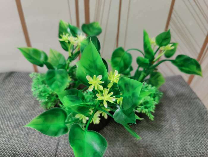 Фотография покупателя товара Растение искусственное аквариумное, 10 см, зелёное - Фото 1