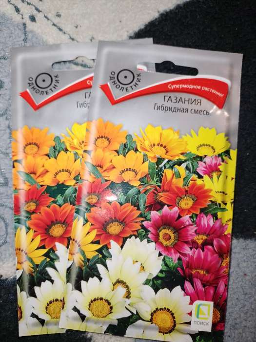 Фотография покупателя товара Семена цветов «Газания Гибридная смесь» для балкона, веранды, цветника, однолетник, низкорослая0.25 г - Фото 7