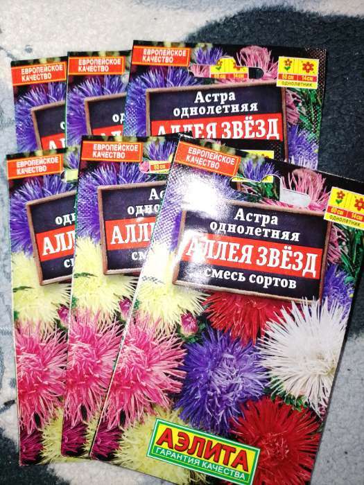 Фотография покупателя товара Семена Цветов Астра "Аллея звезд", смесь сортов, 0,2 г - Фото 1