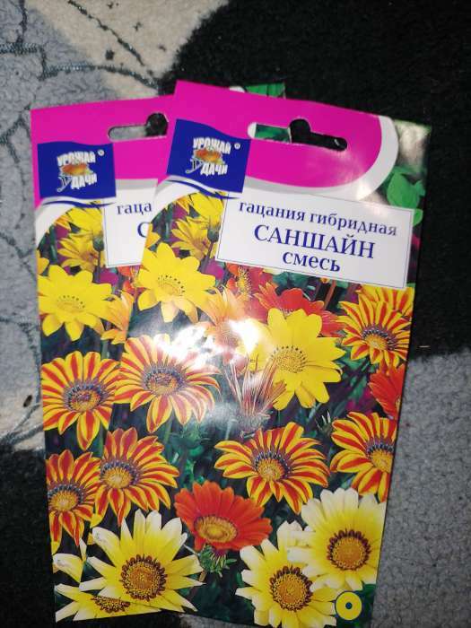 Фотография покупателя товара Семена цветов Гацания "САНШАЙН" Смесь,0,1 г