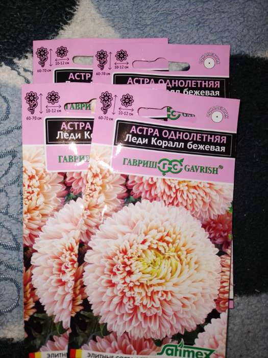 Фотография покупателя товара Семена цветов Астра "Леди Корал бежевая", ц/п,  однолетняя, серия Эксклюзив,  0,05 г - Фото 20