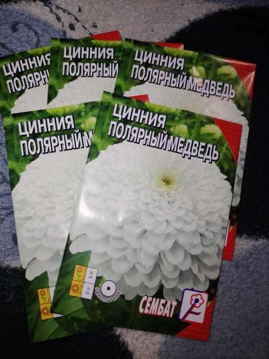 Фотография покупателя товара Семена цветов Циния "Полярный медведь", 0,3 г - Фото 7
