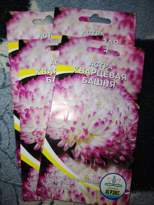 Фотография покупателя товара Семена цветов Астра пионовидная "Кварцевая башня", 0,2 г - Фото 4