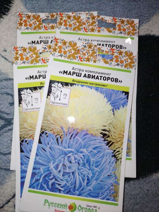 Фотография покупателя товара Семена цветов Астра комплимент "Марш Авиаторов" смесь, серия Русский огород, О, 0,2 г - Фото 1