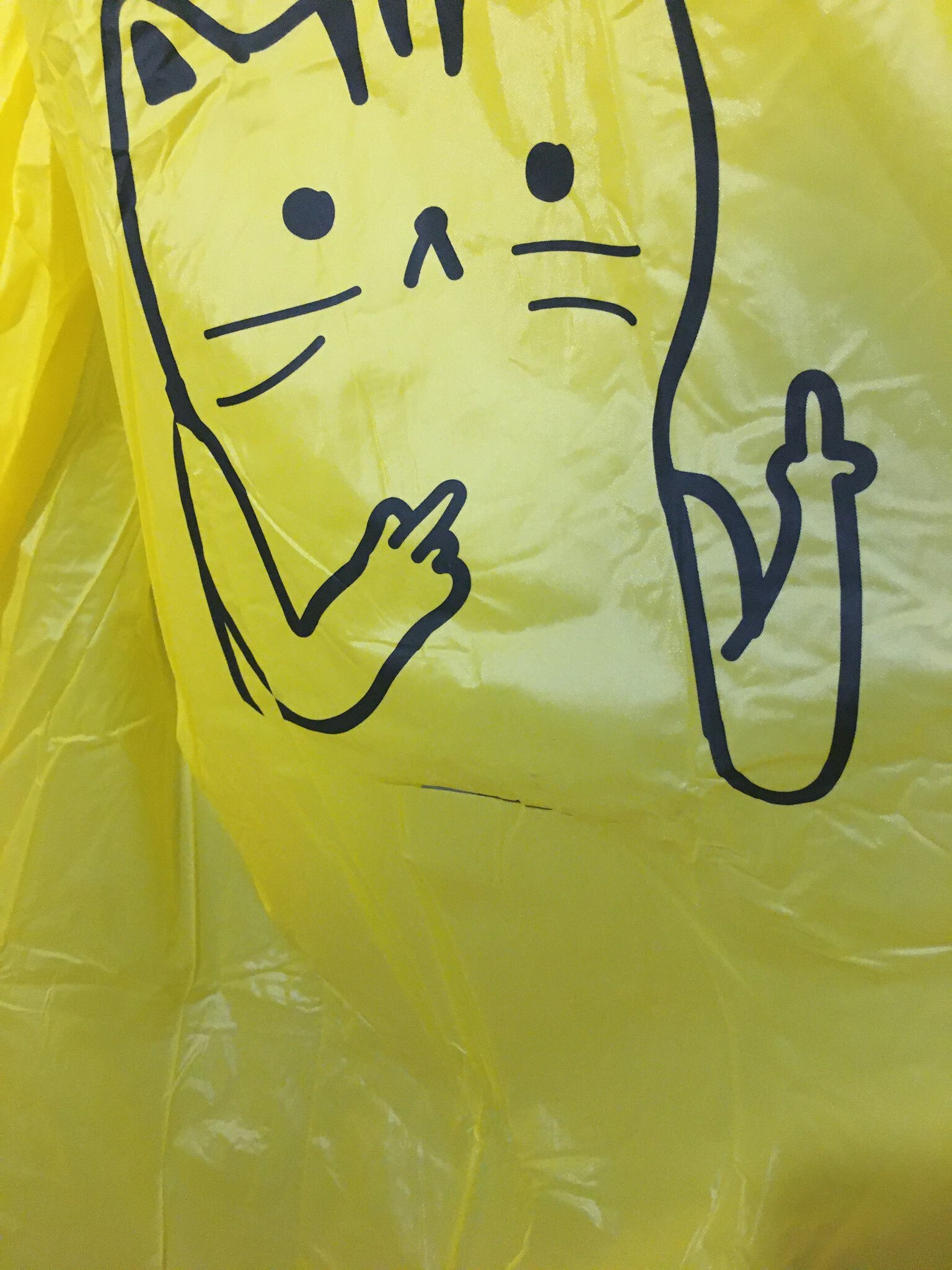 Фотография покупателя товара Дождевик взрослый плащ «Зря - зря», размер 42-48, 60 х 110 см, цвет жёлтый - Фото 3
