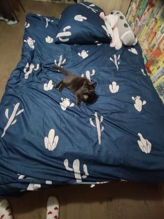 Фотография покупателя товара Постельное бельё дуэт «Экономь и Я. Кактусы», полисатин - Фото 3