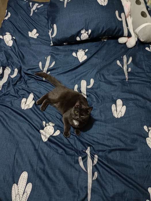 Фотография покупателя товара Постельное бельё дуэт «Экономь и Я. Кактусы», полисатин - Фото 2