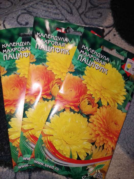 Фотография покупателя товара Семена цветов Календула «Пацифик», «Дом семян», смесь, однолетник, 20 шт. - Фото 1