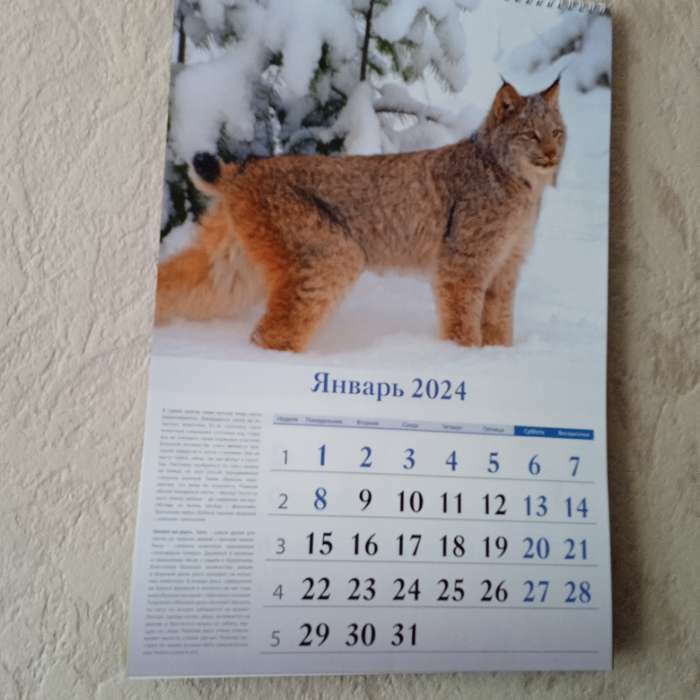 Фотография покупателя товара Календарь перекидной на ригеле "Охотничий" 2024 год, А3