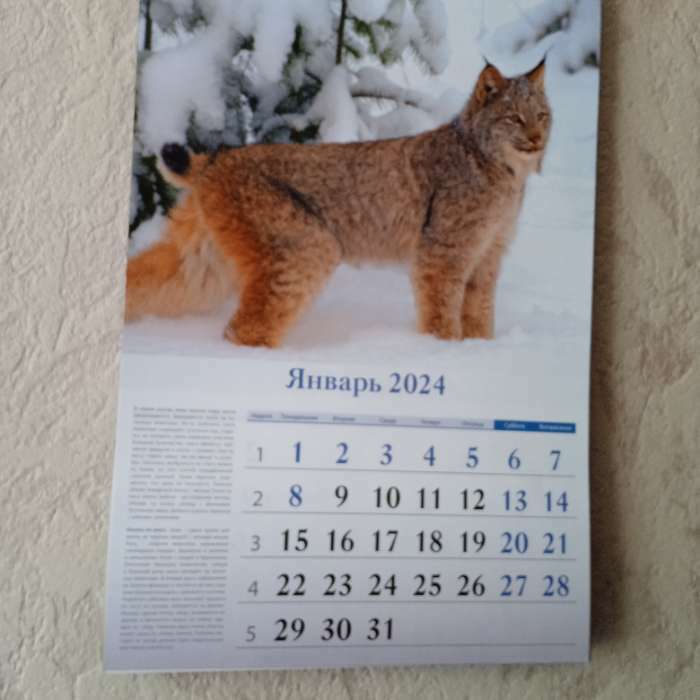 Фотография покупателя товара Календарь перекидной на ригеле "Охотничий" 2024 год, А3