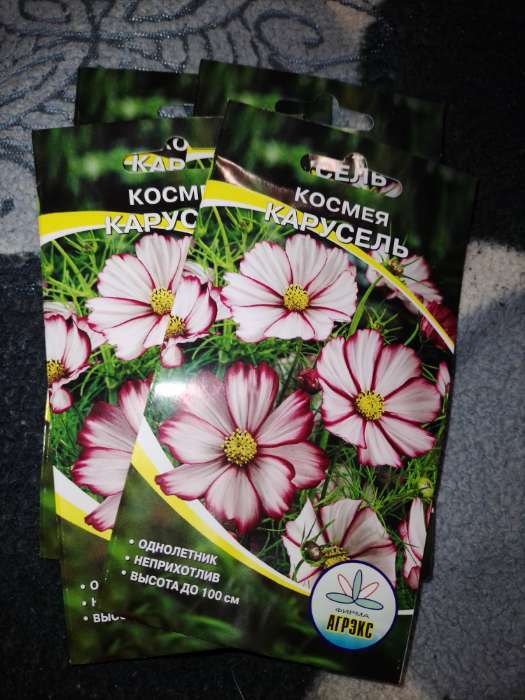 Фотография покупателя товара Семена цветов однолетние Космея Карусель 0,2 - Фото 2