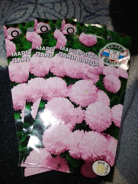 Фотография покупателя товара Семена цветов маргаритка «Пани Ванда», 0.05 г - Фото 2