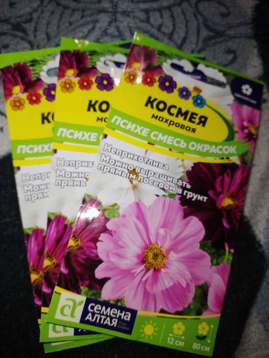 Фотография покупателя товара Семена цветов Космея "Психе", ц/п, махровая смесь, 0,2 г - Фото 3