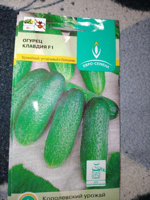 Фотография покупателя товара Семена Огурец «Клавдия» F1, 10 шт., «Евро-семена» - Фото 1