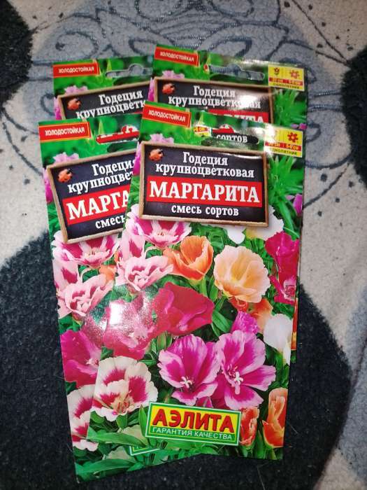 Фотография покупателя товара Семена  цветов Годеция "Маргарита", смесь окрасок, О, 0,2 г - Фото 1