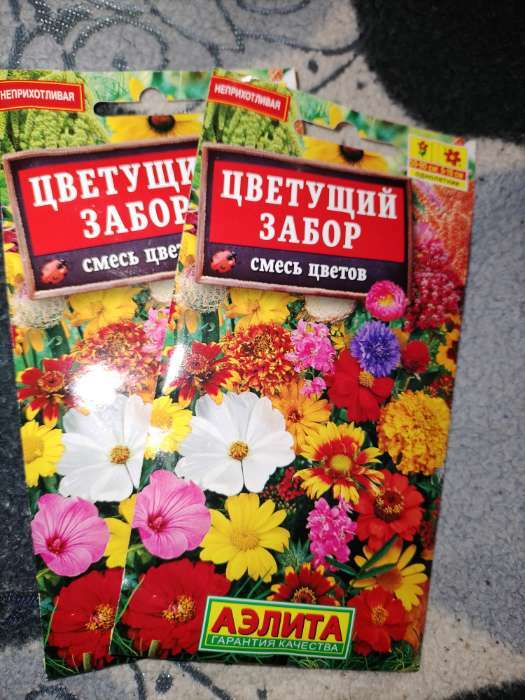 Фотография покупателя товара Семена цветов Смесь "Цветущий забор", 2 г - Фото 1