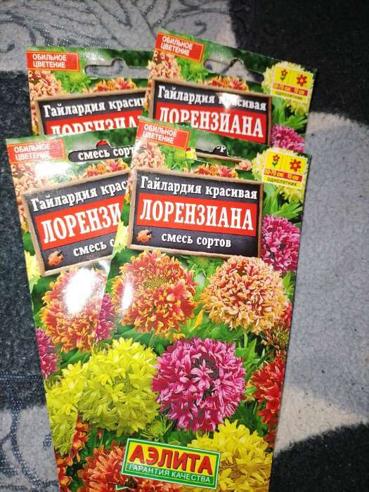 Фотография покупателя товара Семена цветов Гайлардия "Лорензиана", смесь окрасок, 0,3 г - Фото 1
