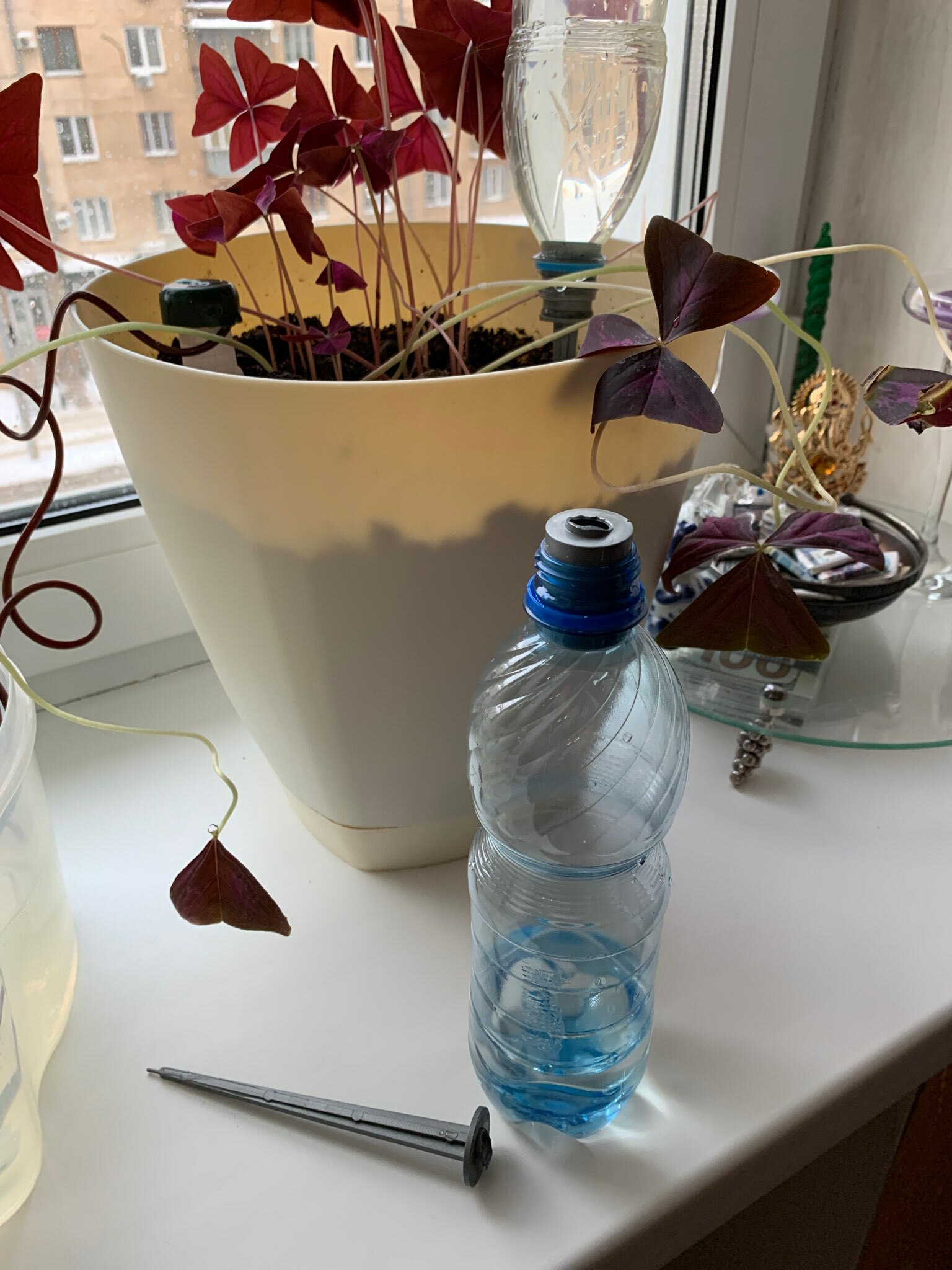 Фотография покупателя товара Автополив для комнатных растений под бутылку, регулируемый, серый, из пластика, высота 20 см, 4 шт.