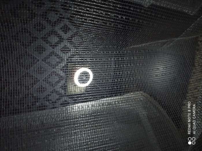 Фотография покупателя товара Ночник "Круг" LED реагирует на темноту, белый 6,5х6,5х5 см RISALUX