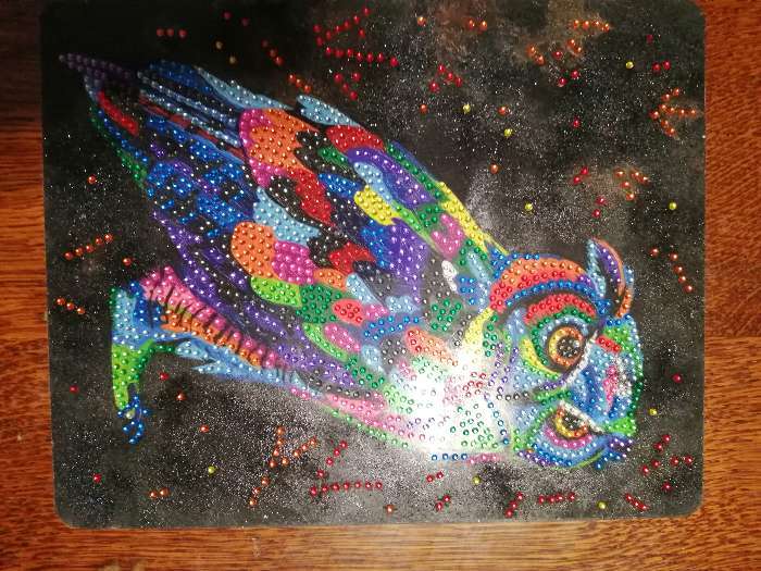 Фотография покупателя товара Набор для создания мозаики «Бриллиантовая сова» DIAMOND DECOR, планшетка без рамки - Фото 2