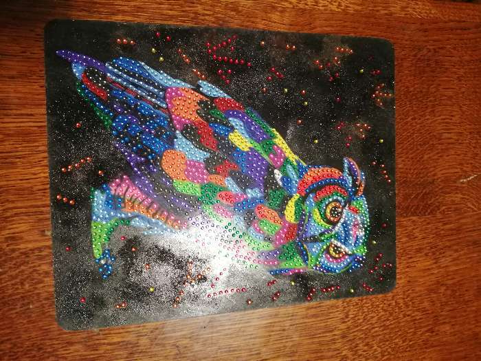 Фотография покупателя товара Набор для создания мозаики «Бриллиантовая сова» DIAMOND DECOR, планшетка без рамки - Фото 5