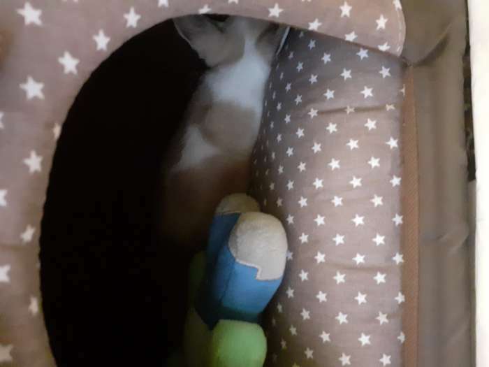 Фотография покупателя товара Домик для животных «Звёздочки», 34×32×37 см, коричневый - Фото 2