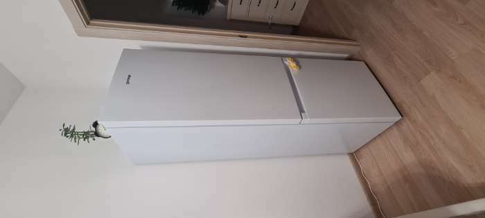 Фотография покупателя товара Холодильник Gorenje RK 4181 PW4, двухкамерный, класс A+, 264 л, белый - Фото 4