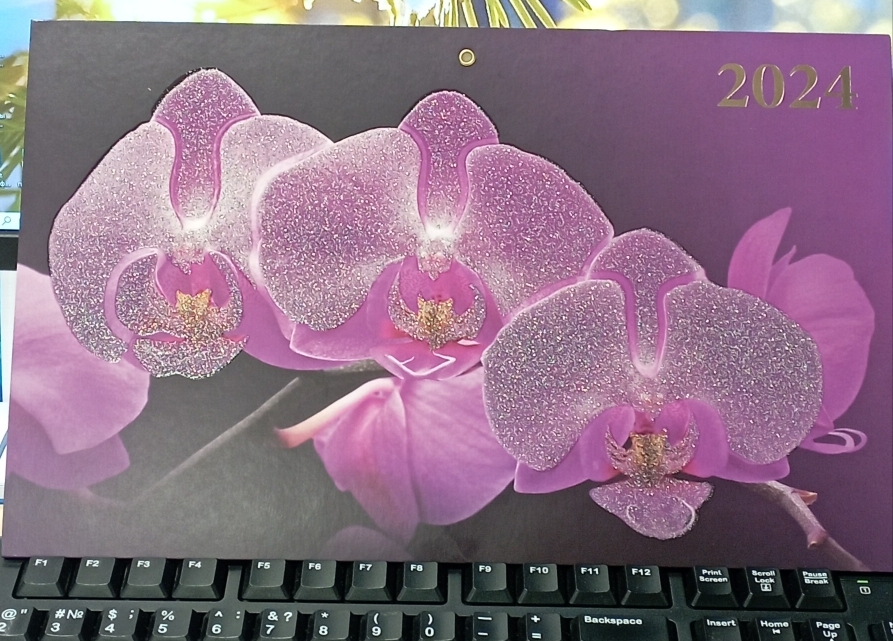 Фотография покупателя товара Календарь квартальный трио "Орхидея" 2024 год, тиснение, лак, плотный картон, 34х84см - Фото 1