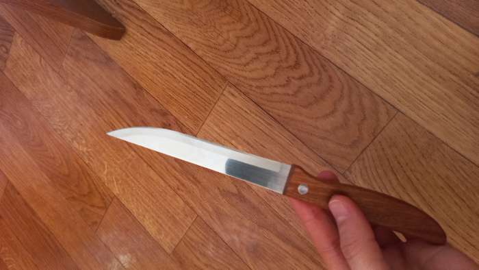 Фотография покупателя товара Нож кухонный для цитрусовых Доляна «Эльбрус», лезвие 12 см - Фото 1