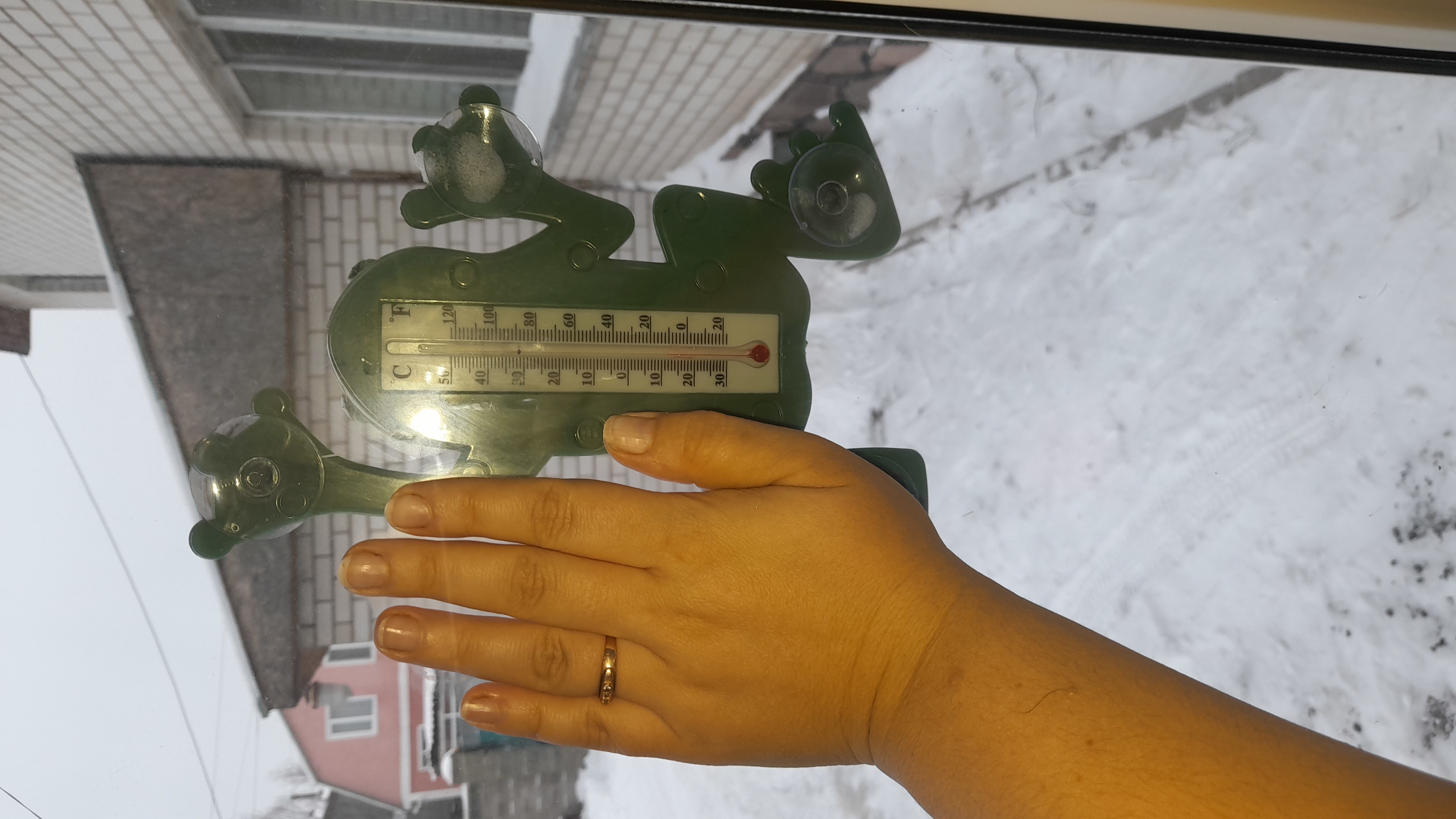 Фотография покупателя товара Пластиковый термометр оконный "Лягушка" в пакете - Фото 4