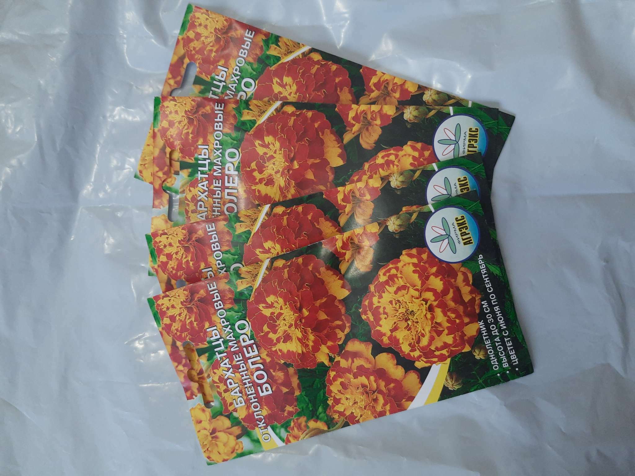 Фотография покупателя товара Семена Цветов однолетние Бархатцы "Болеро", отклонённые, махровые, 0,2 г - Фото 1