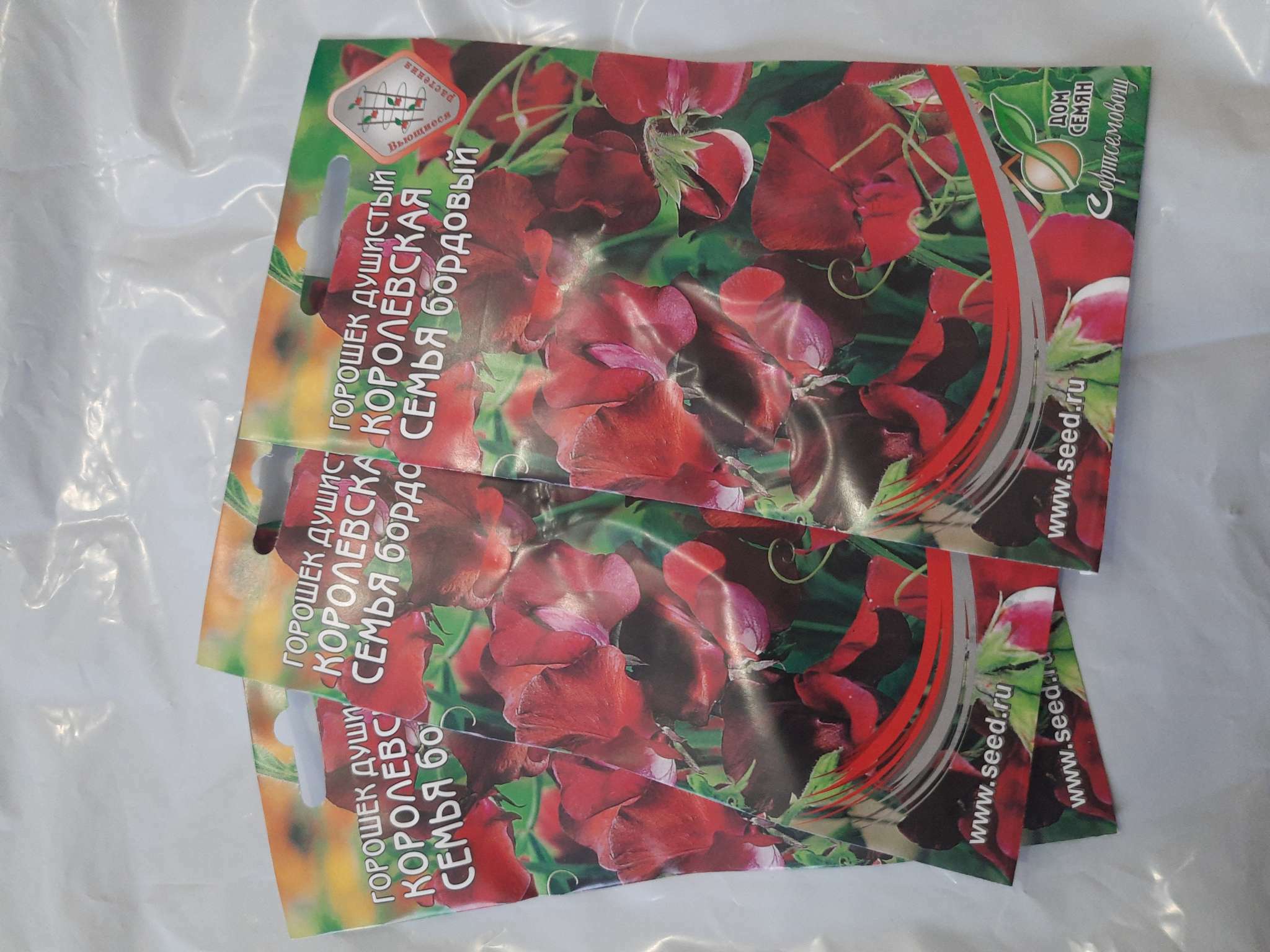 Фотография покупателя товара Семена цветов  Горошек душистый "Королевская семья", бордовый, 6 шт - Фото 2