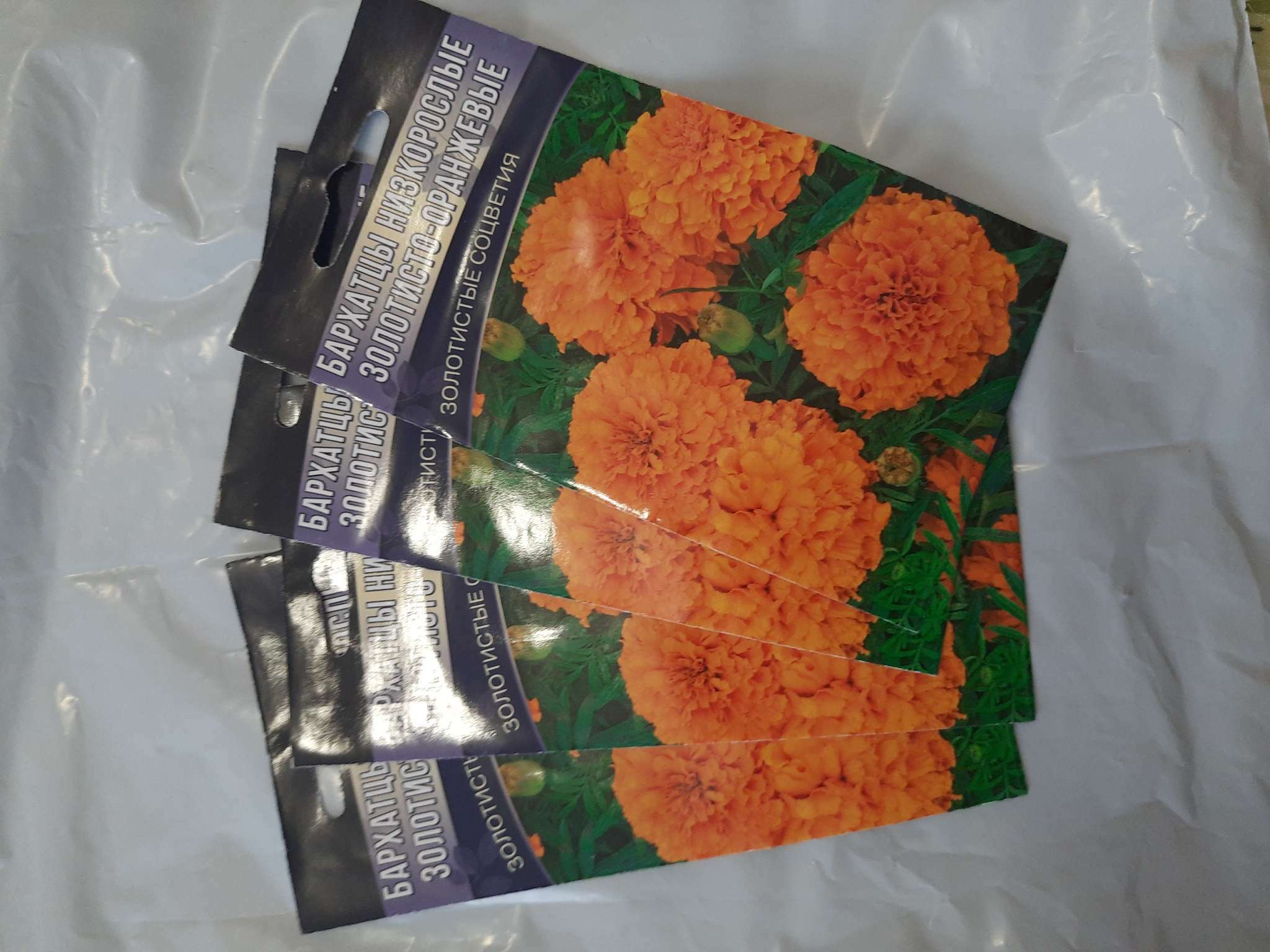 Фотография покупателя товара Семена цветов Бархатцы прямостоячие низкорослые "Золотисто-оранжевые", 0,15 г - Фото 1