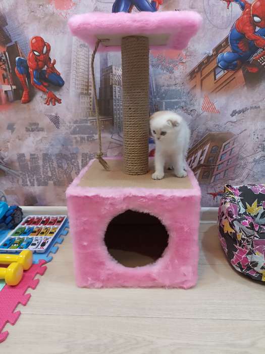 Фотография покупателя товара Домик для животных, с когтеточкой и полкой, джут, 32 х 32 х 64, розовый - Фото 4