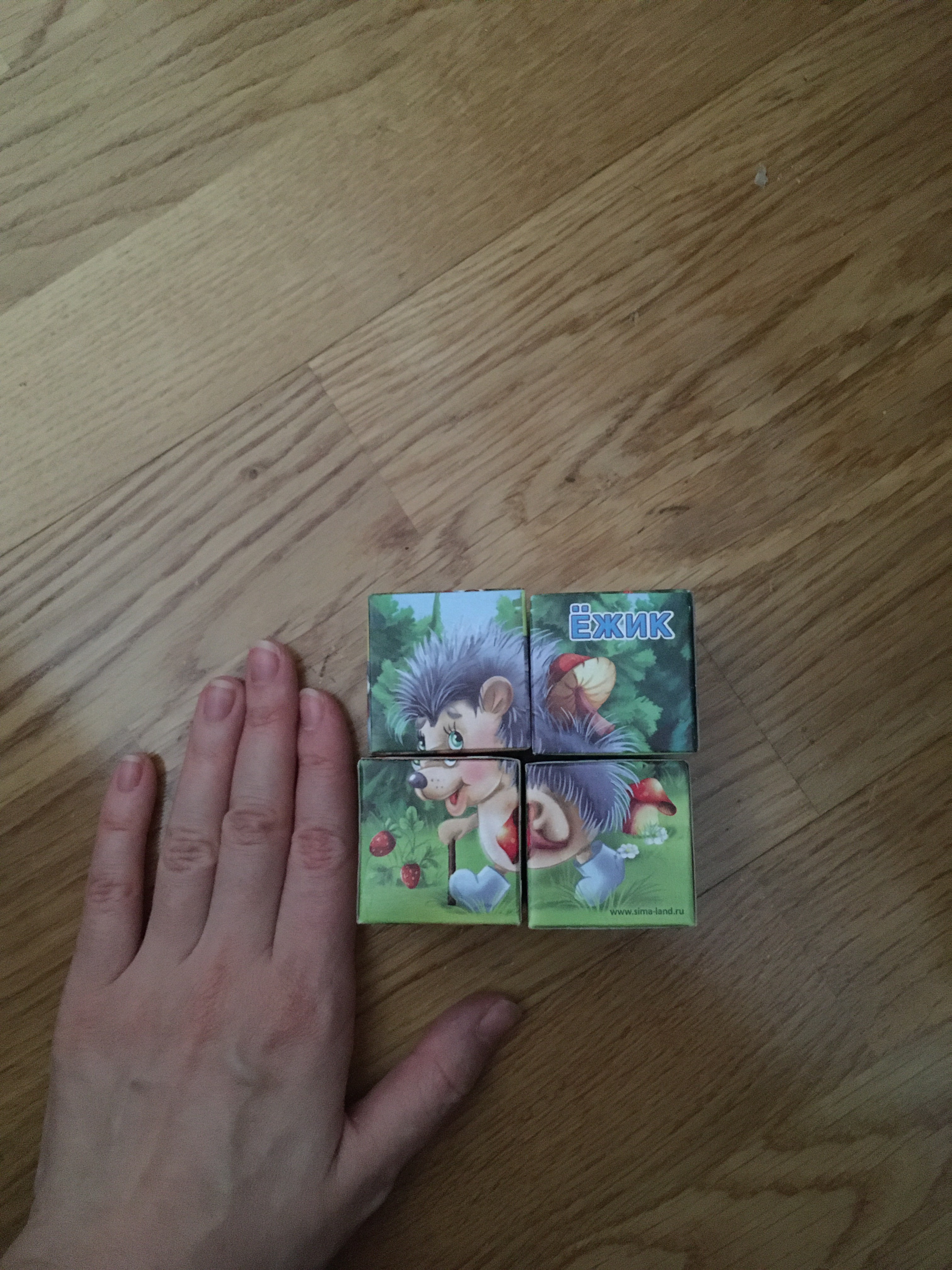 Фотография покупателя товара Кубики «Лесные животные» картон, 4 штуки, по методике Монтессори - Фото 3