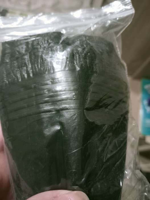 Фотография покупателя товара Горшки для рассады, 500 мл, 9 × 9 × 8 см, полиэтилен толщиной 50 мкм, чёрный, Greengo - Фото 2