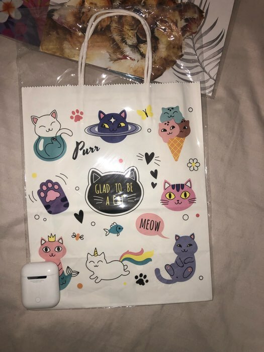 Фотография покупателя товара Пакет подарочный крафт «Коты», 22×12×27 см, крученая ручка, 1 шт. - Фото 1