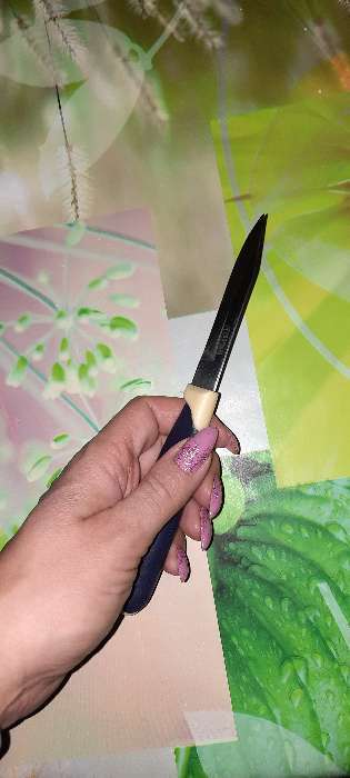 Фотография покупателя товара Нож кухонный «Мультиколор», для овощей, лезвие 8 см, с пластмассовой ручкой, цвет синий