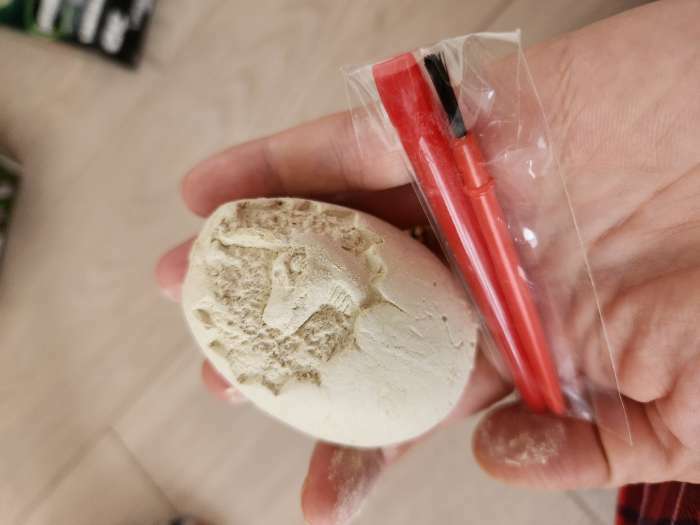 Фотография покупателя товара Набор археолога «Трицератопс», серия «Окаменелое яйцо динозавра» - Фото 1