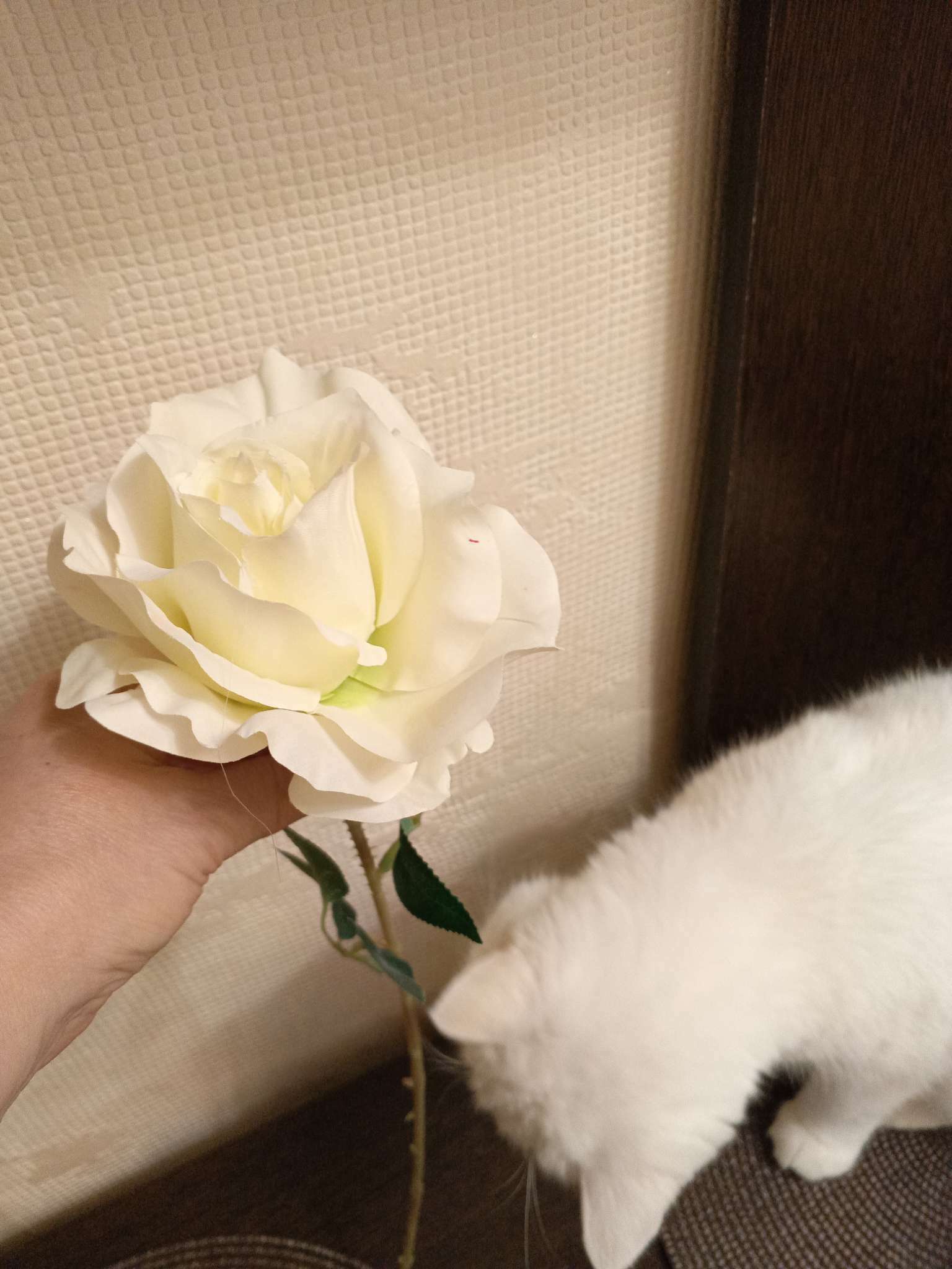 Фотография покупателя товара Цветы искусственные "Роза Мондиаль" 9х46 см, белый - Фото 1
