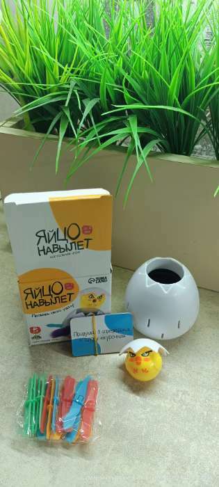 Фотография покупателя товара Настольная игра Лас Играс KIDS «Яйцо навылет» - Фото 8