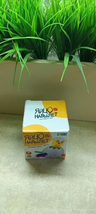 Фотография покупателя товара Настольная игра Лас Играс KIDS «Яйцо навылет» - Фото 11