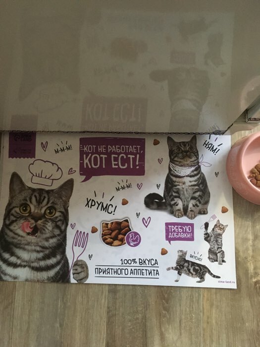 Фотография покупателя товара Коврик под миску «Кот не работает, кот ест!» 43х28 см - Фото 1