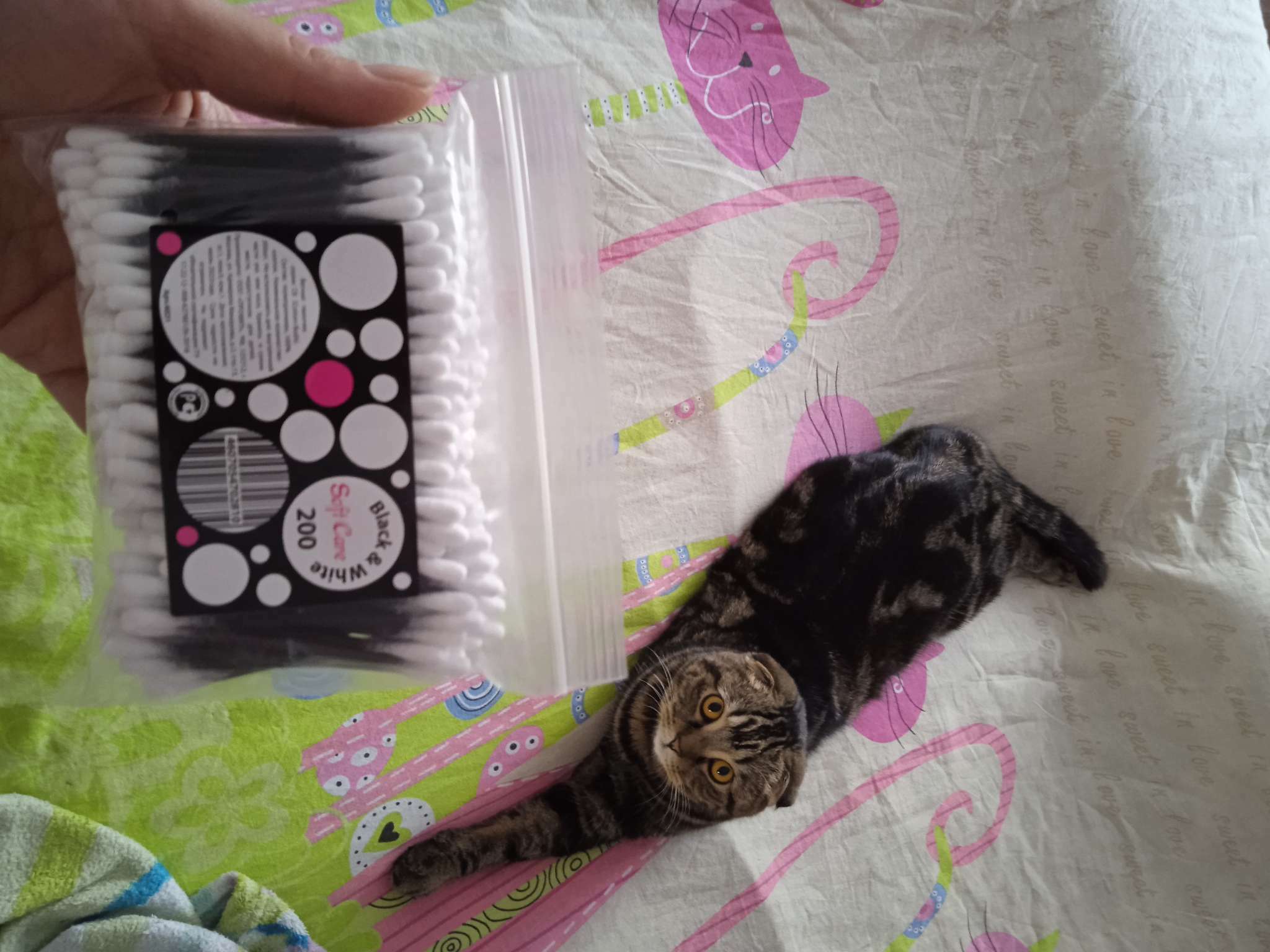 Фотография покупателя товара Ватные палочки Soft Care Black&White, пакет 200 шт. - Фото 2