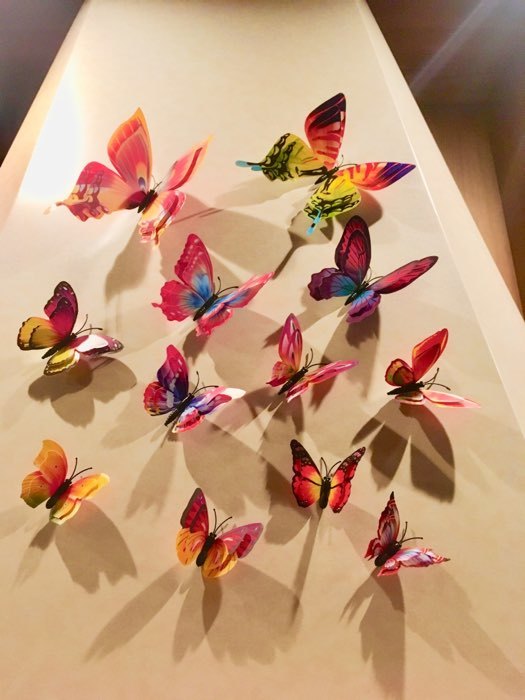 Фотография покупателя товара Магнит пластик "Летние бабочки" набор 12 шт МИКС h=4,4,5,5,6,8,9,5,13,5,14,5 см