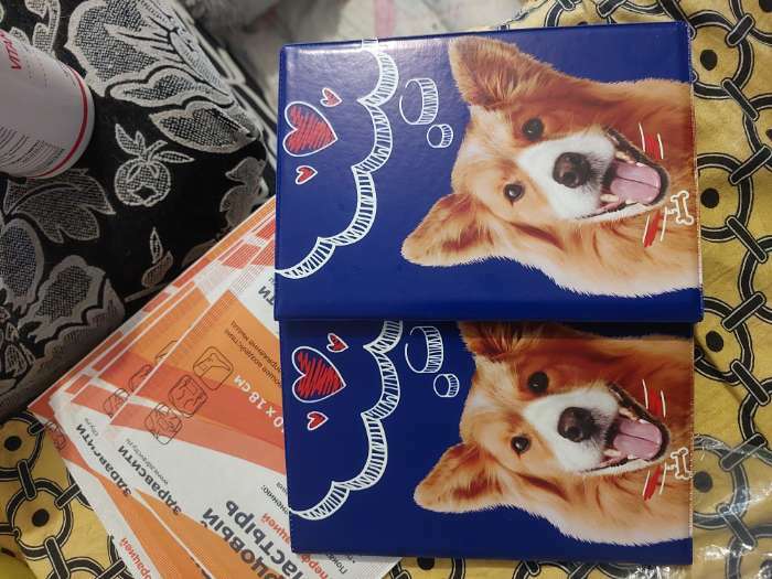 Фотография покупателя товара Обложка на ветеринарный паспорт «Рыжий пёсик»