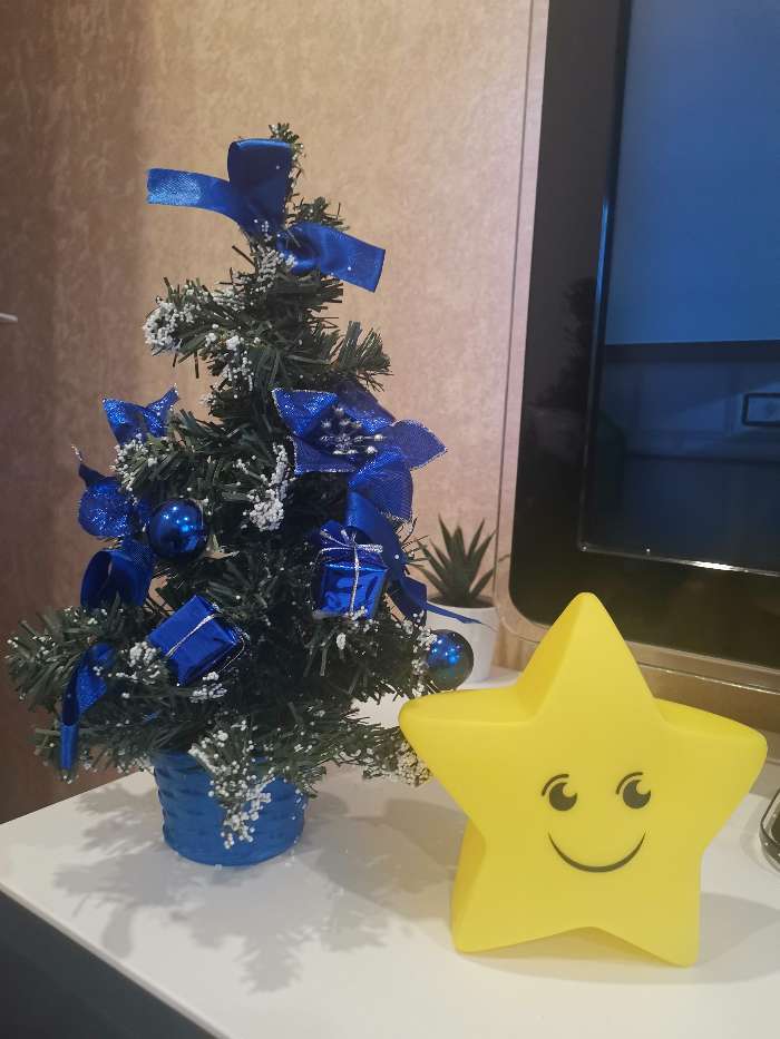 Фотография покупателя товара Ёлка декор "Новогодний восторг" 30 см, синяя пуансетия